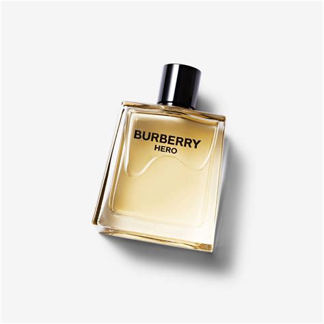 burberry uomo 2006|burberry cologne reviews.